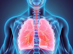 Aparato Respiratorio