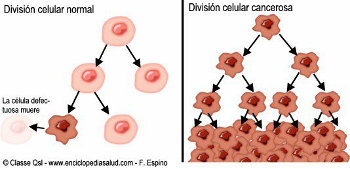 Celulas cancerosas