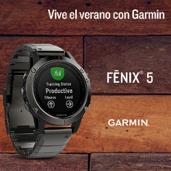 Fénix 5