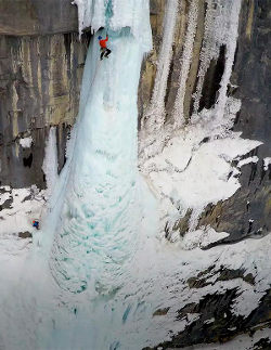 Ice Calling Curtain call