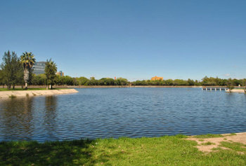 Parque Tangamanga I