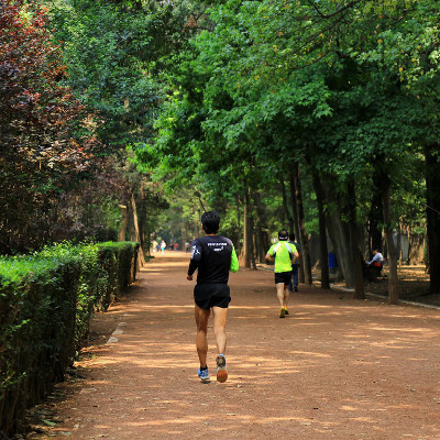 Viveros de Coyoacán