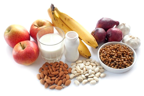 Alimentos probióticos